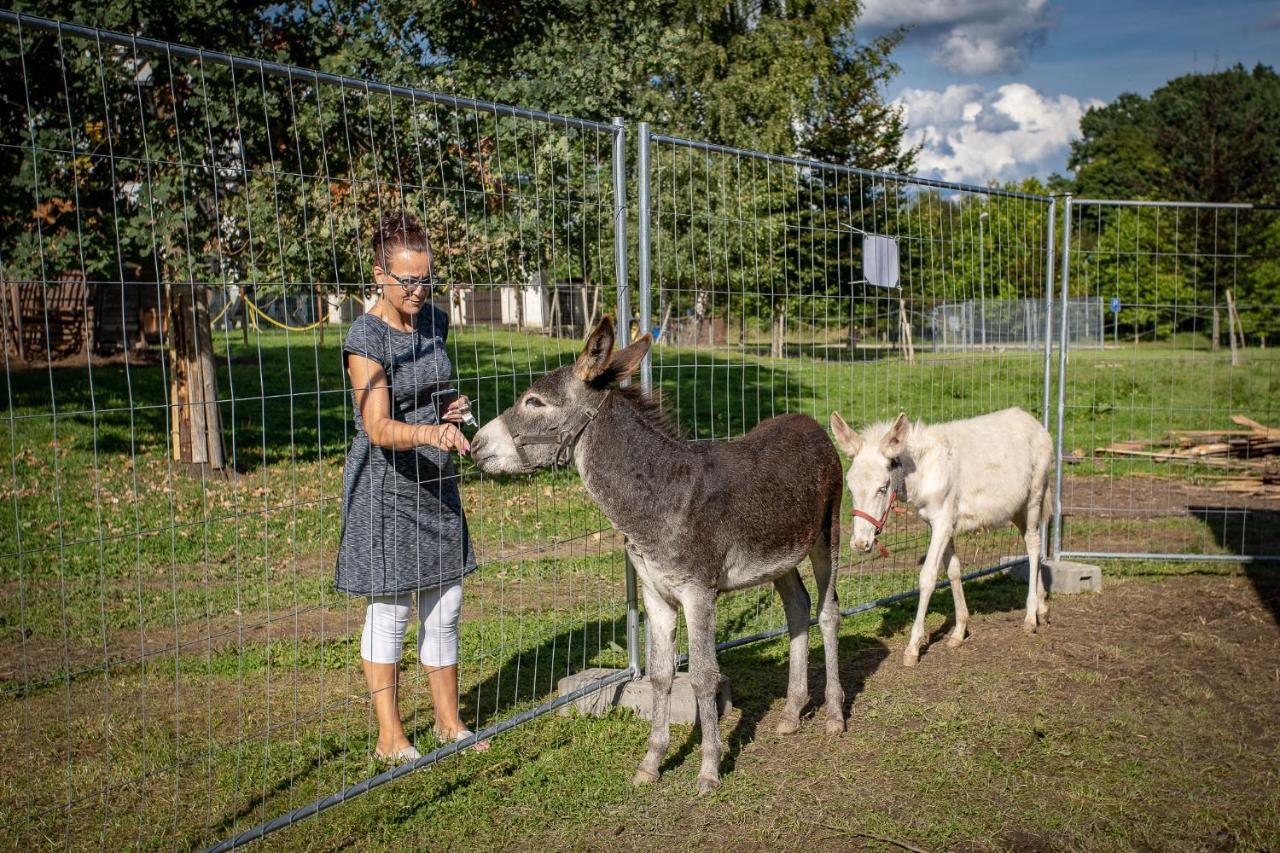 Penzion Statek Bernard Královské Poříčí Eksteriør bilde